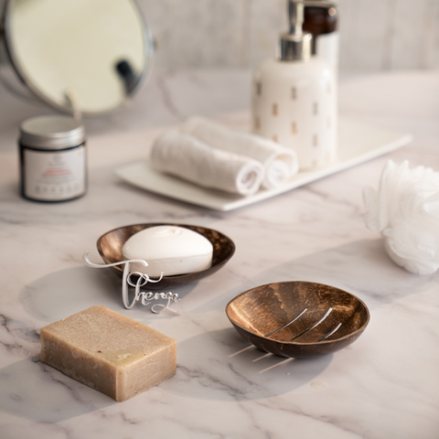 Coconut shell soap dish